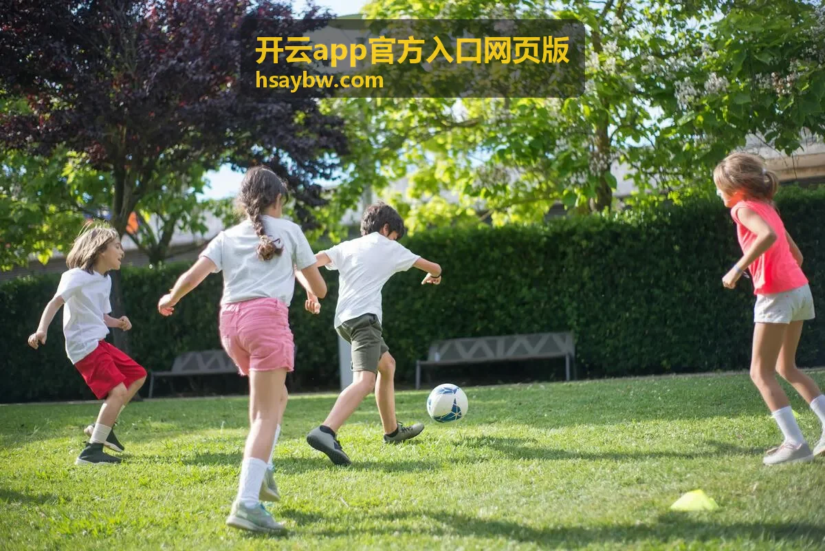 开云app官方入口网页版网页版功能位置示意