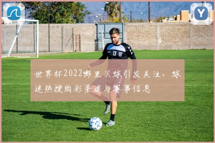 世界杯2022哪里买球引发关注，球迷热搜购彩渠道与赛事信息