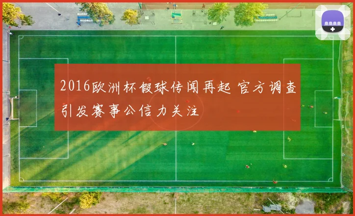 2016欧洲杯假球传闻再起 官方调查引发赛事公信力关注