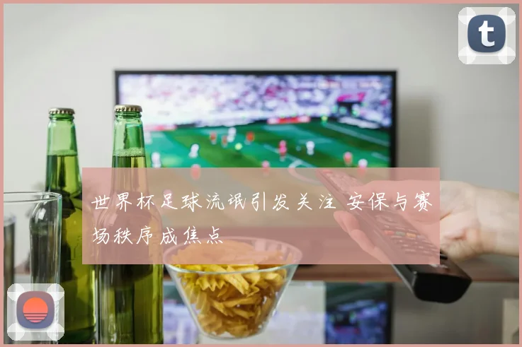 世界杯足球流氓引发关注 安保与赛场秩序成焦点