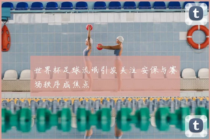 世界杯足球流氓引发关注 安保与赛场秩序成焦点