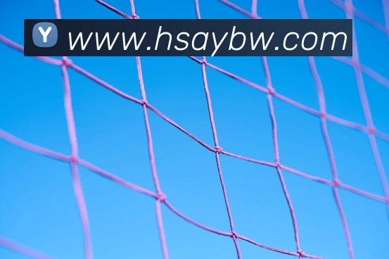 世界杯开户平台平台生态图